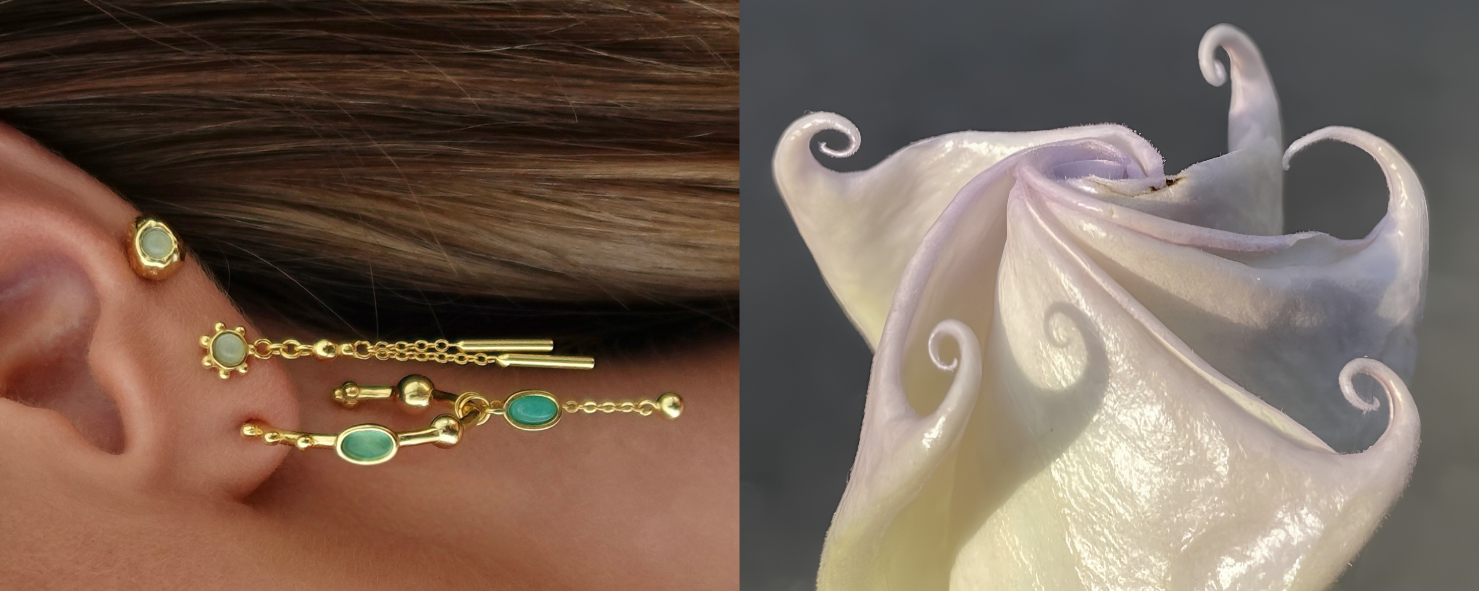 Loomi/Pixi/Frida Stack