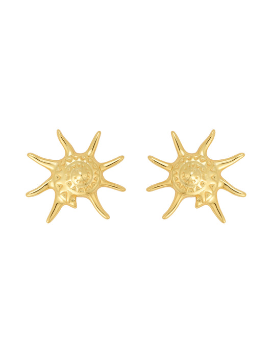 Whelk Large Gold Earrings
